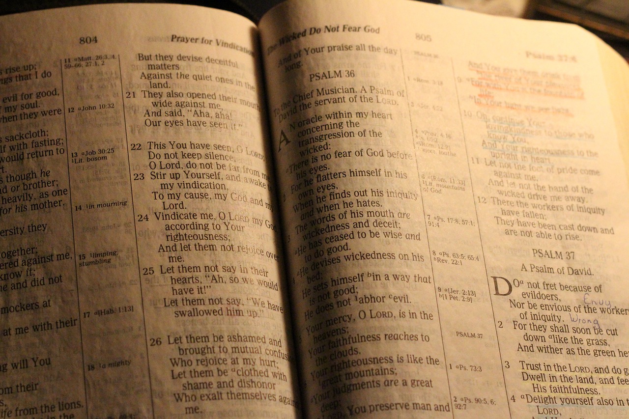 bible, holy book, study-350396.jpg