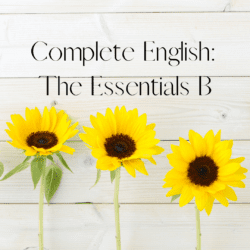 Middle School English Language Arts: The Essentials B