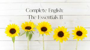 Middle School English Language Arts: The Essentials B